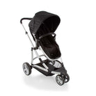 Black Classic - CAX00464