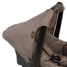 Taupe - CAX01127