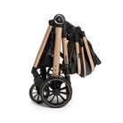 Preto Bronze