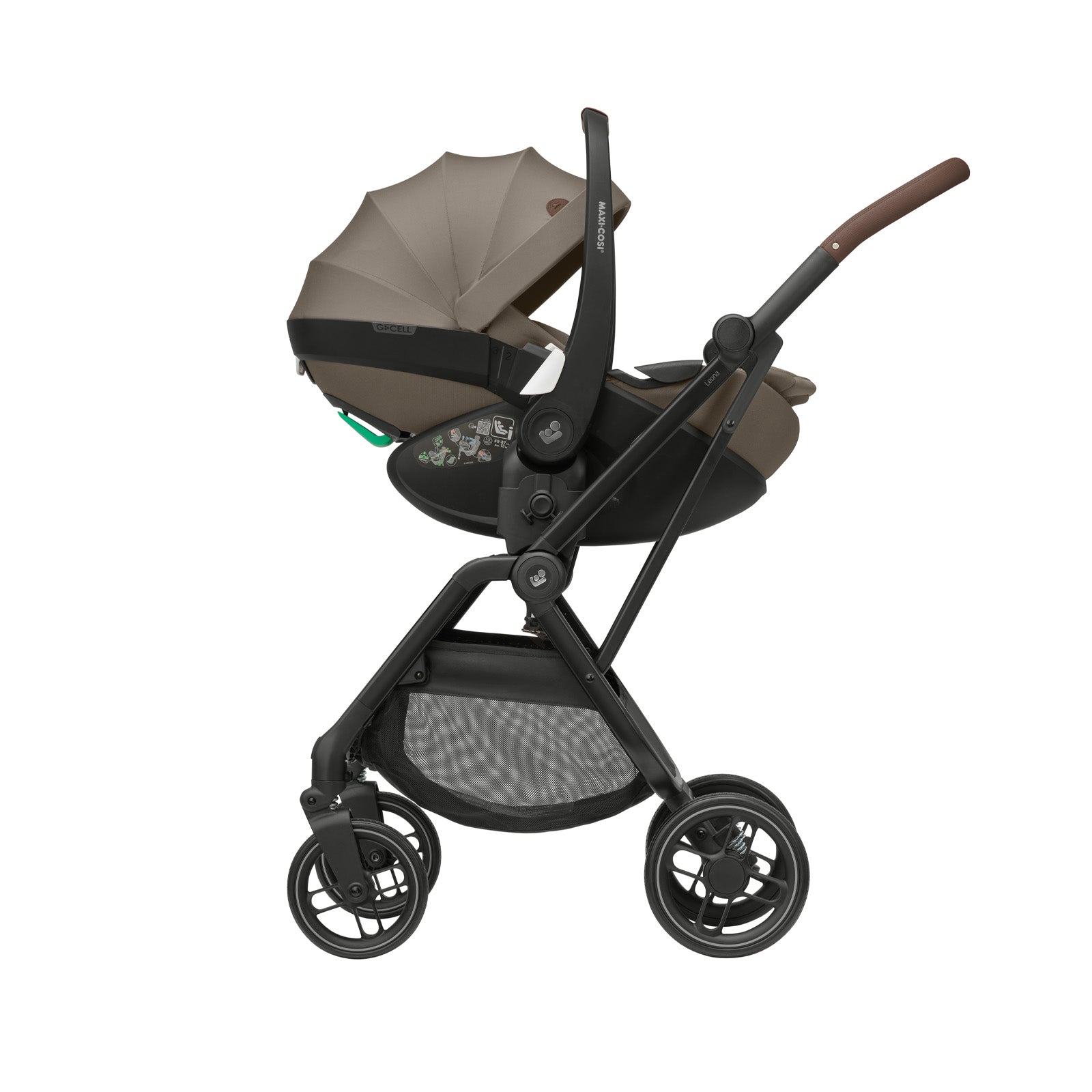 Twillic Truffle - CAX01028